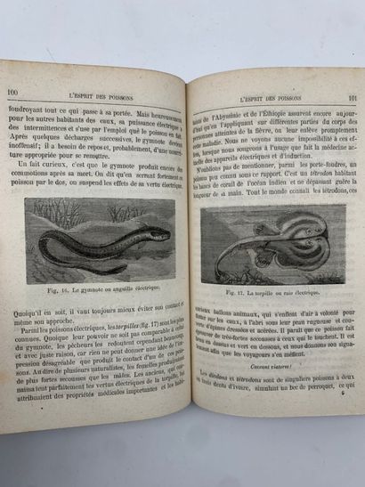 LA BLANCHÈRE, Henri de. L'Esprit des poissons.
Published...