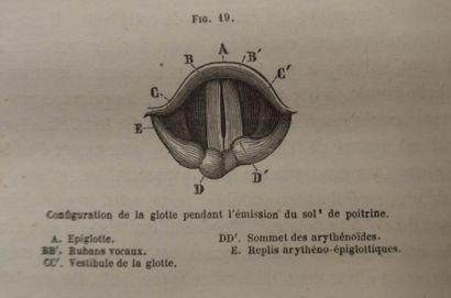 FOURNIE, Edouard. Physiology of voice and...