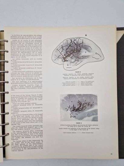 SALAMON, Georges. Atlas de la Vascularisation...