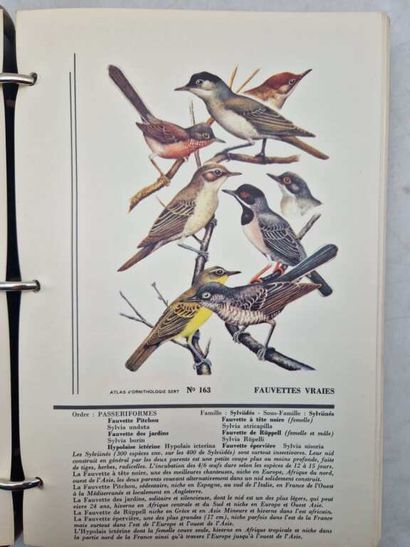 [ORNITHOLOGY]. Atlas.
Published in Paris...
