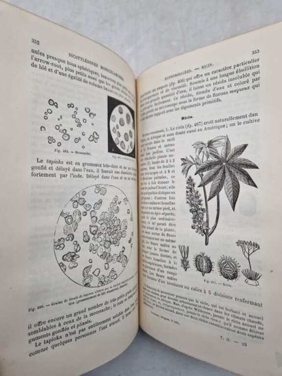 PLANCHON, Gustave. Histoire Naturelle des...
