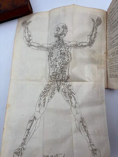 WINSLOW, Jacques-Bénigne. Anatomical exposition...