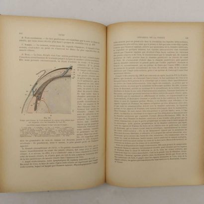 TESTUT, Léo and JACOB, O. Traité d'anatomie...