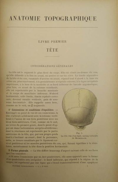 TESTUT, Léo and JACOB, O. Traité d'anatomie...