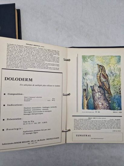 [ORNITHOLOGY]. Atlas.
Published in Paris...