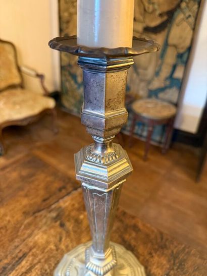Antique silver-plated bronze pike pole, drilled...