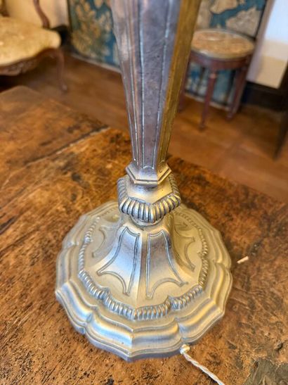 Antique silver-plated bronze pike pole, drilled...