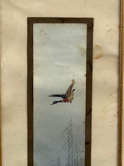 * Le vol des canards au dessus de l'étang....
