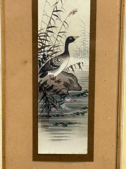 * Le vol des canards au dessus de l'étang....