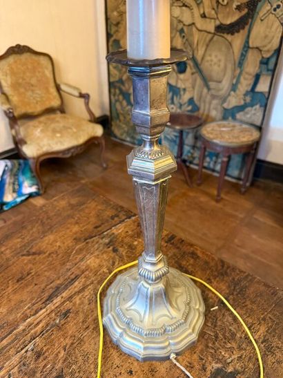 Antique silver-plated bronze pike pole, drilled...