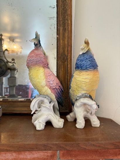Deux statuettes de perroquets en porcelaine...