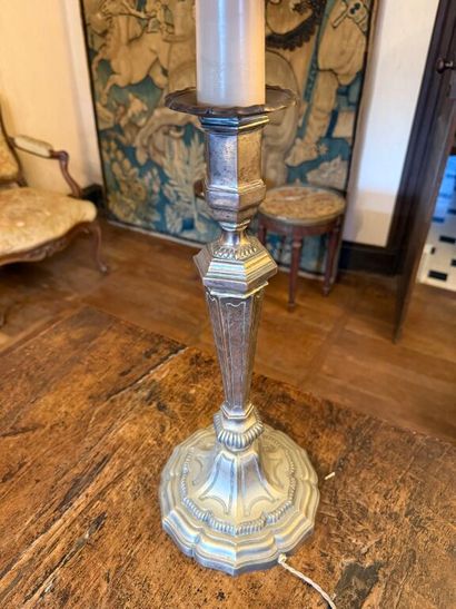 Antique silver-plated bronze pike pole, drilled...