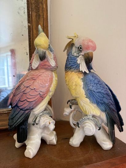 Deux statuettes de perroquets en porcelaine...