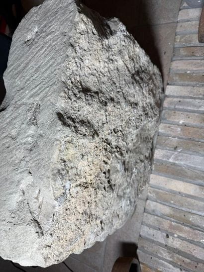Stone carved with a coat of arms surmounted...