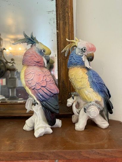 Deux statuettes de perroquets en porcelaine...