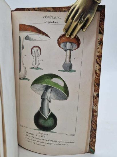ORFILA, Mathieu. Leçons de Médecine Légale.
Paris,...