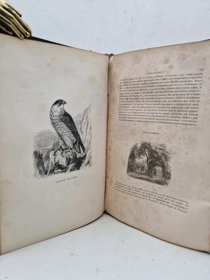[HISTOIRE NATURELLE]. Le Jardin des Plantes....