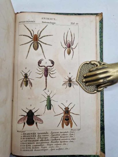 ORFILA, Mathieu. Leçons de Médecine Légale.
Paris,...
