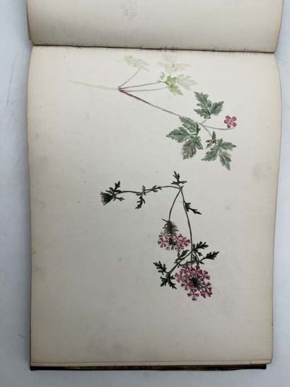 FRENCH ECOLE (19th century). Booklet of 36...