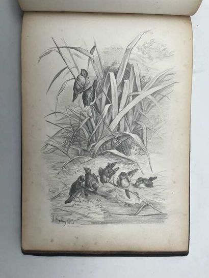 FRENCH ECOLE (19th century). Booklet of 20...