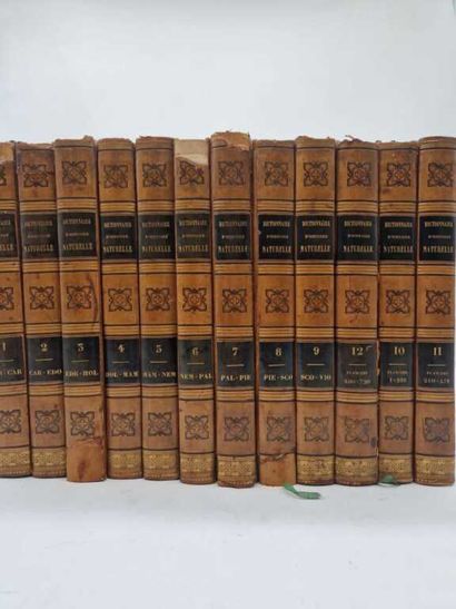GUERIN, Félix-Édouard. Dictionnaire Pittoresque...