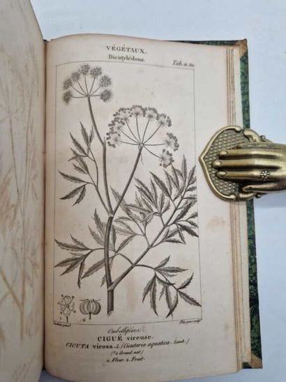 ORFILA, Mathieu. Leçons de Médecine Légale.
Paris,...