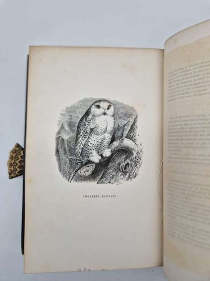 [HISTOIRE NATURELLE]. Le Jardin des Plantes....