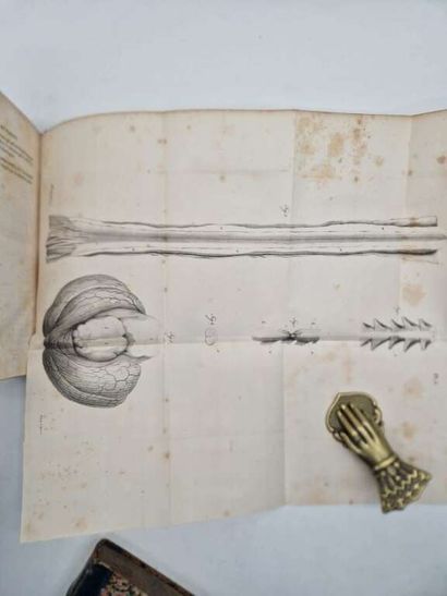 OLLIVIER, Charles-Prosper. Traité des Maladies...
