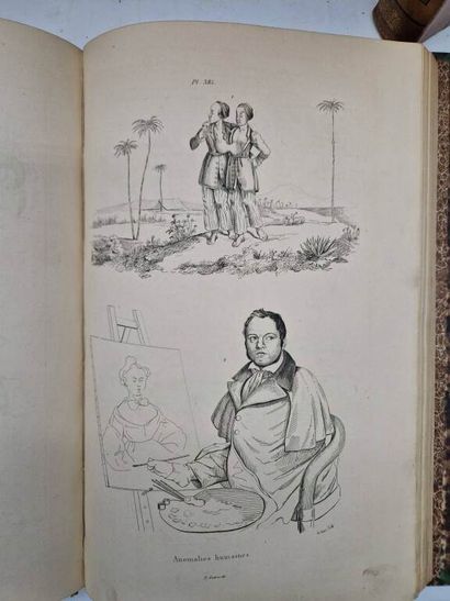 GUERIN, Félix-Édouard. Dictionnaire Pittoresque...
