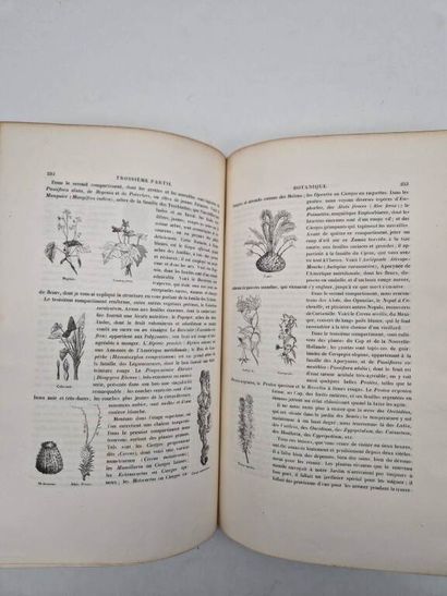 [HISTOIRE NATURELLE]. Le Jardin des Plantes....