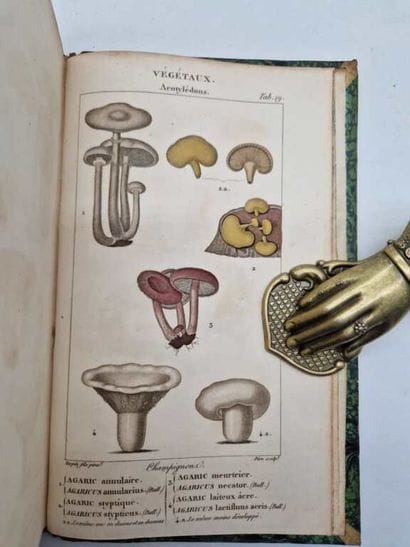 ORFILA, Mathieu. Leçons de Médecine Légale.
Paris,...
