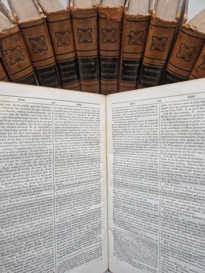 GUERIN, Félix-Édouard. Dictionnaire Pittoresque...