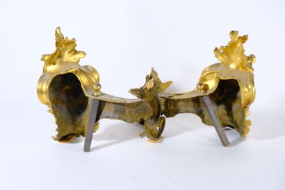 Paire de chenets en bronze doré et ciselé...