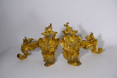 Paire de chenets en bronze doré et ciselé...