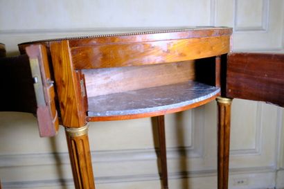 Paire de jardinières en forme de guéridons...