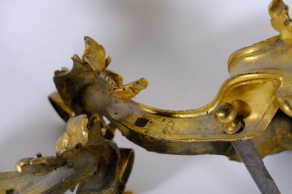 Paire de chenets en bronze doré et ciselé...