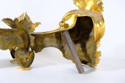 Paire de chenets en bronze doré et ciselé...
