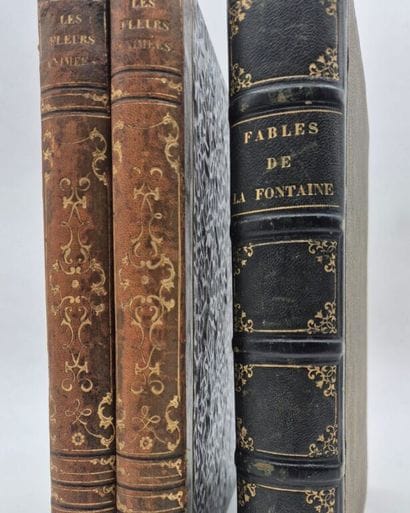 GRANDVILLE. *Les Fleurs animées*.



The...