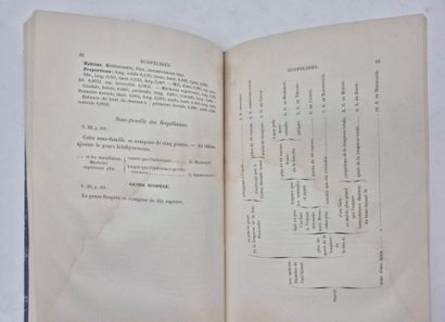 MOREAU, Émile. Natural History of the Fishes...