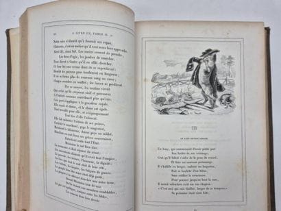 GRANDVILLE. *Les Fleurs animées*.



The...