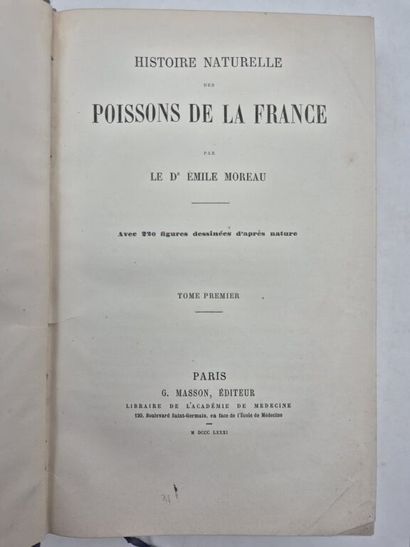 MOREAU, Émile. Natural History of the Fishes...