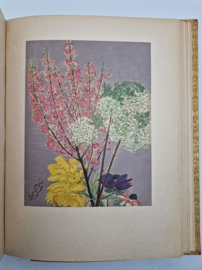 NOAILLES, Anna de. *Âme des Paysages*.

A...