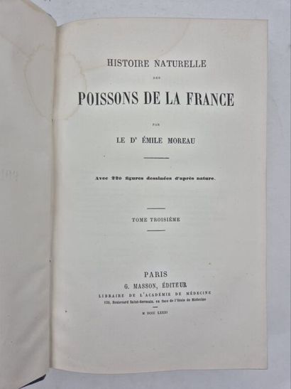 MOREAU, Émile. Natural History of the Fishes...