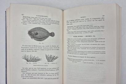 MOREAU, Émile. Natural History of the Fishes...