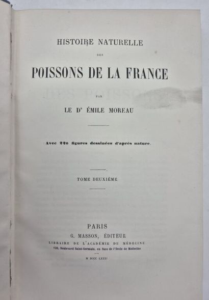 MOREAU, Émile. Natural History of the Fishes...