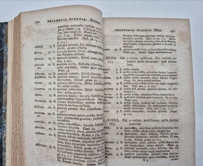 LINNÉ, Carl von. *Systema vegetabilium secundum...