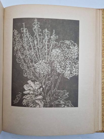 NOAILLES, Anna de. *Âme des Paysages*.

A...
