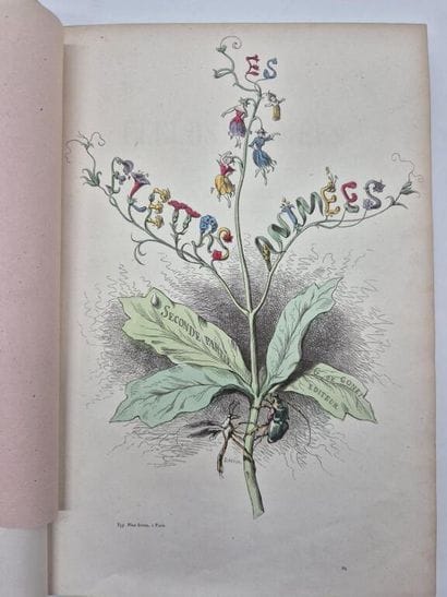 GRANDVILLE. *Les Fleurs animées*.



The...