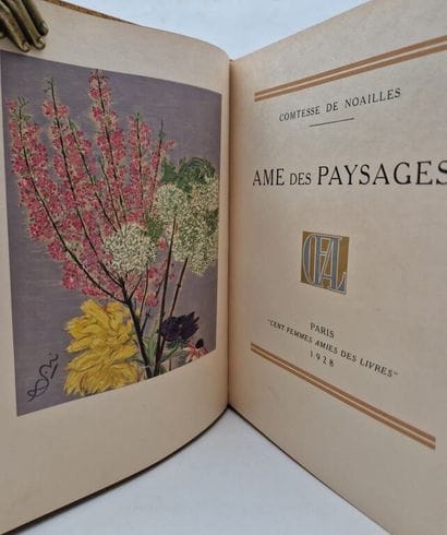 NOAILLES, Anna de. *Âme des Paysages*.

A...