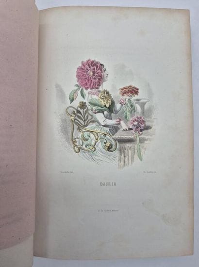 GRANDVILLE. *Les Fleurs animées*.



The...